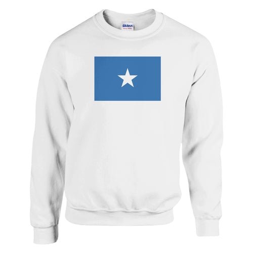 Sweat-shirt Drapeau de la Somalie - JSL FashionHome DecorJSL FashionAmethyst Clover6cd6df7a - 33fd - 4780 - 9047 - b670c7d6fef9